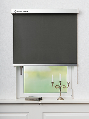 San Carlos VD 54181 Fensteransicht