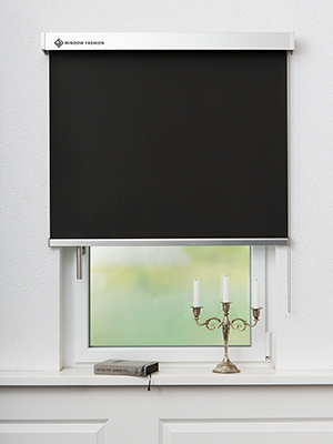 San Carlos VD 54111 Fensteransicht