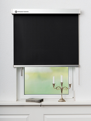 San Carlos VD 54141 Fensteransicht