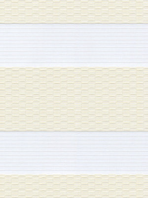 Rollo 079.22r