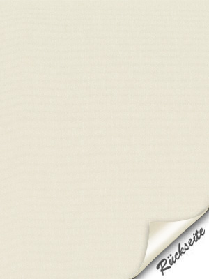 Preview Buron 3