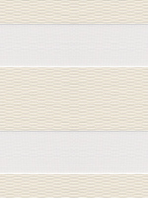 Rollo 293.19r