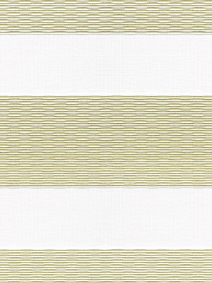 Rollo 293.91r