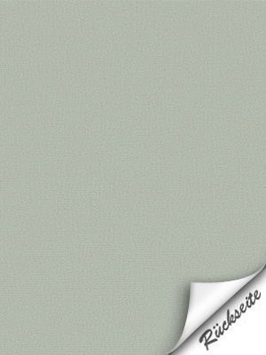 Preview  3