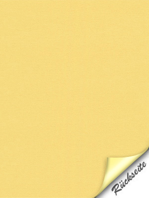 Preview  3