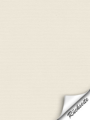 Preview  3