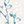 Rollo ro_Simply2976