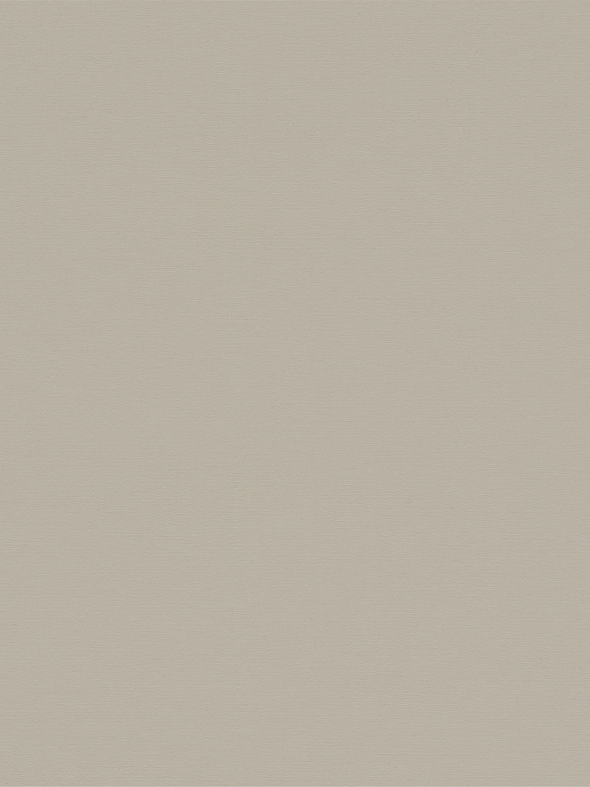 Detailansicht Alcudia 8102