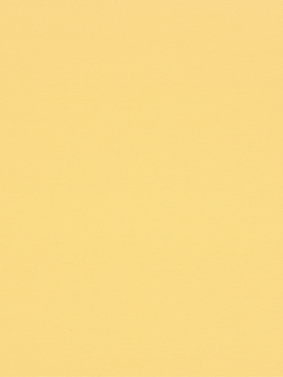 Detailansicht Alcudia 8104