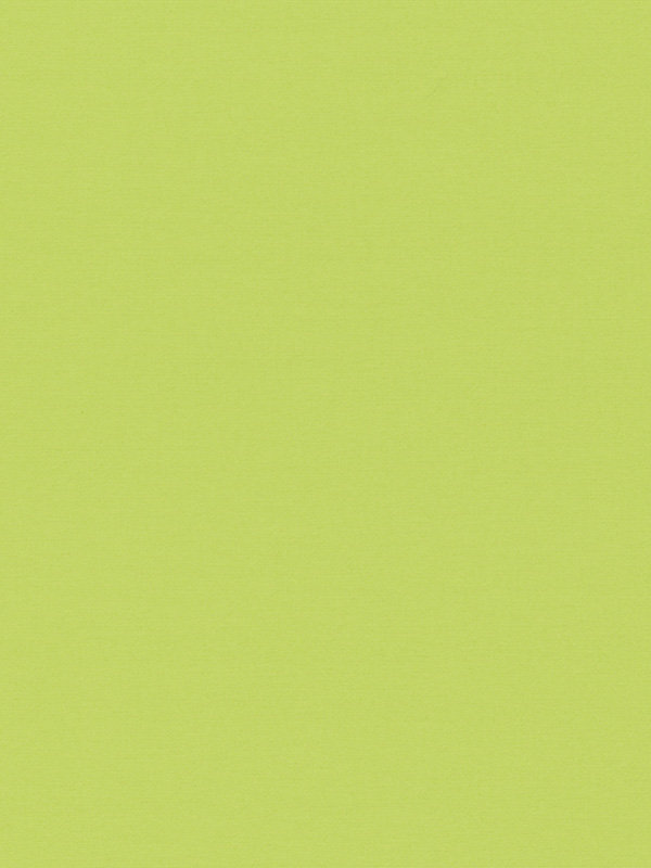 Detailansicht Calvia 6008