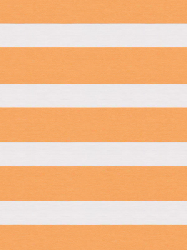 Detailansicht Aguacateco 6531