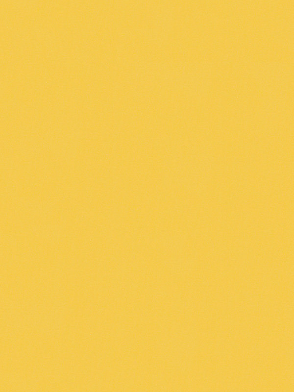 Detailansicht Conesa 4215