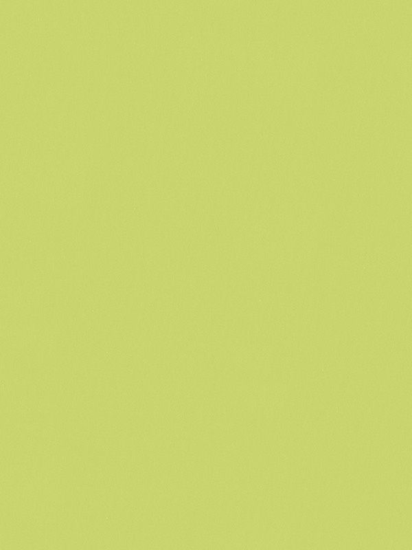 Detailansicht Conesa 7756