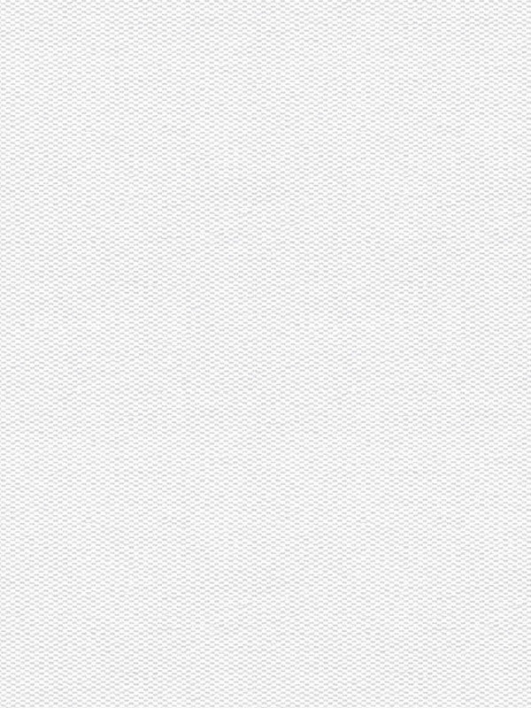 Detailansicht Truttikon 20373