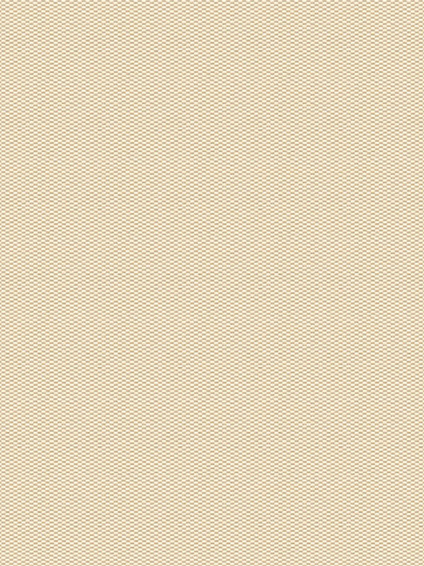 Detailansicht Truttikon 20370