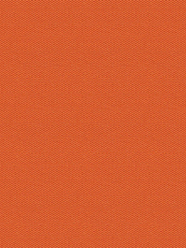 Detailansicht Truttikon 20378