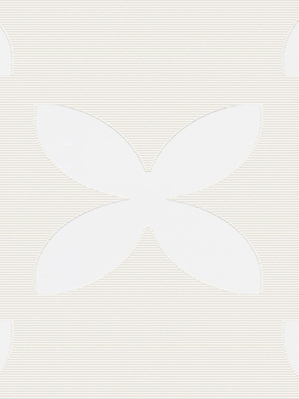 Detailansicht Chalatenango 6617