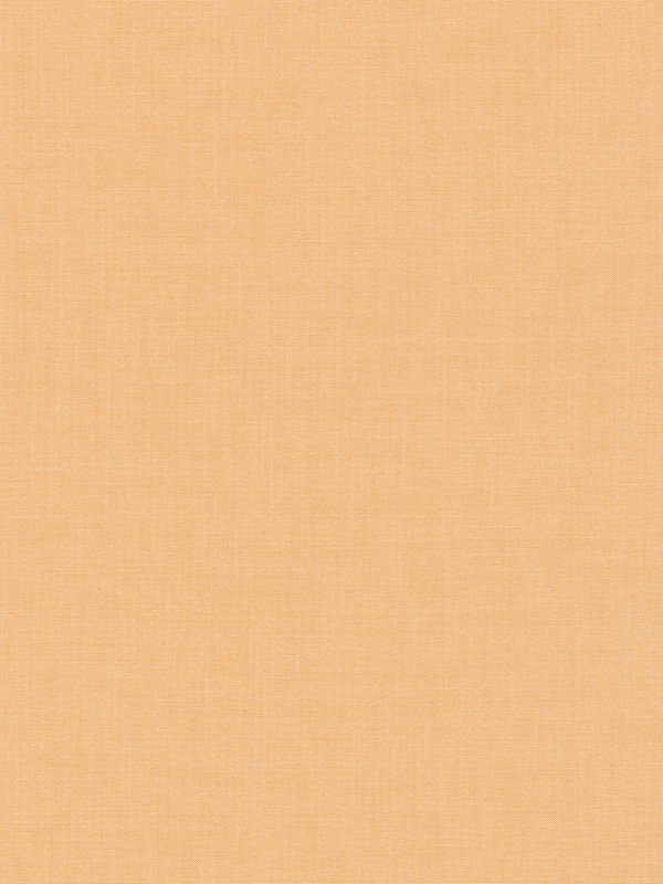 Detailansicht Carballo 6397