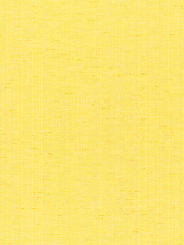 Detailansicht Trinidad 6273