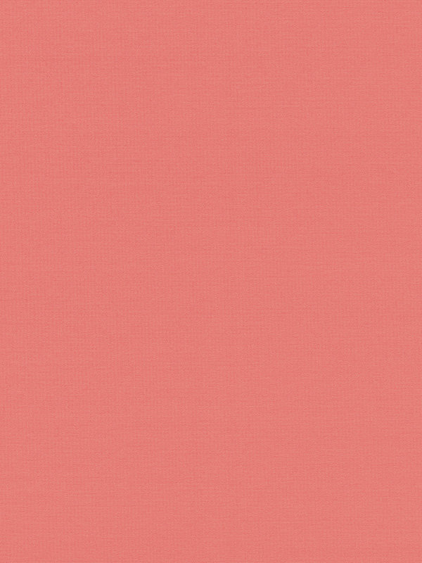 Detailansicht San Jose 6423