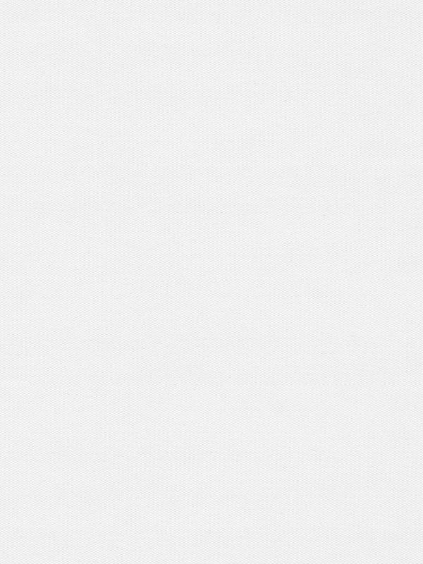 Detailansicht Rollo Springfield 26281