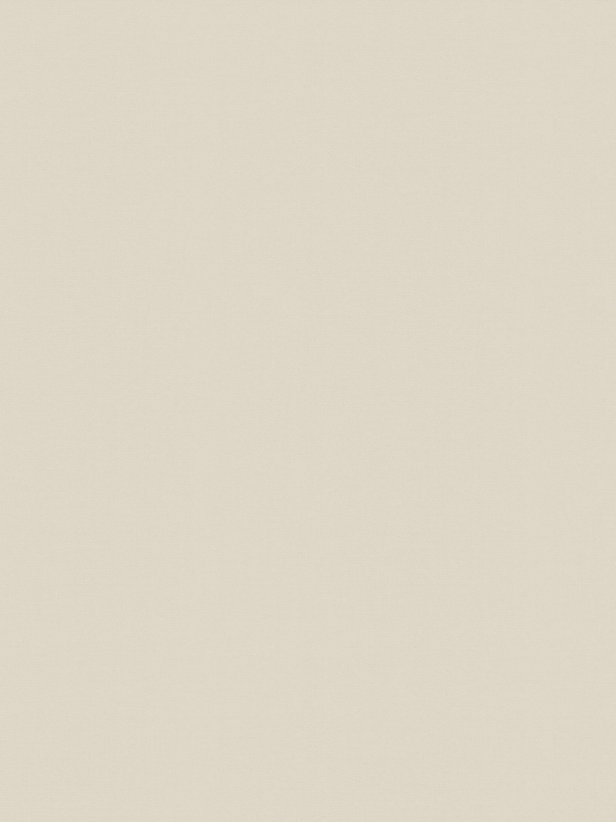 Detailansicht Rollo Springfield 26311