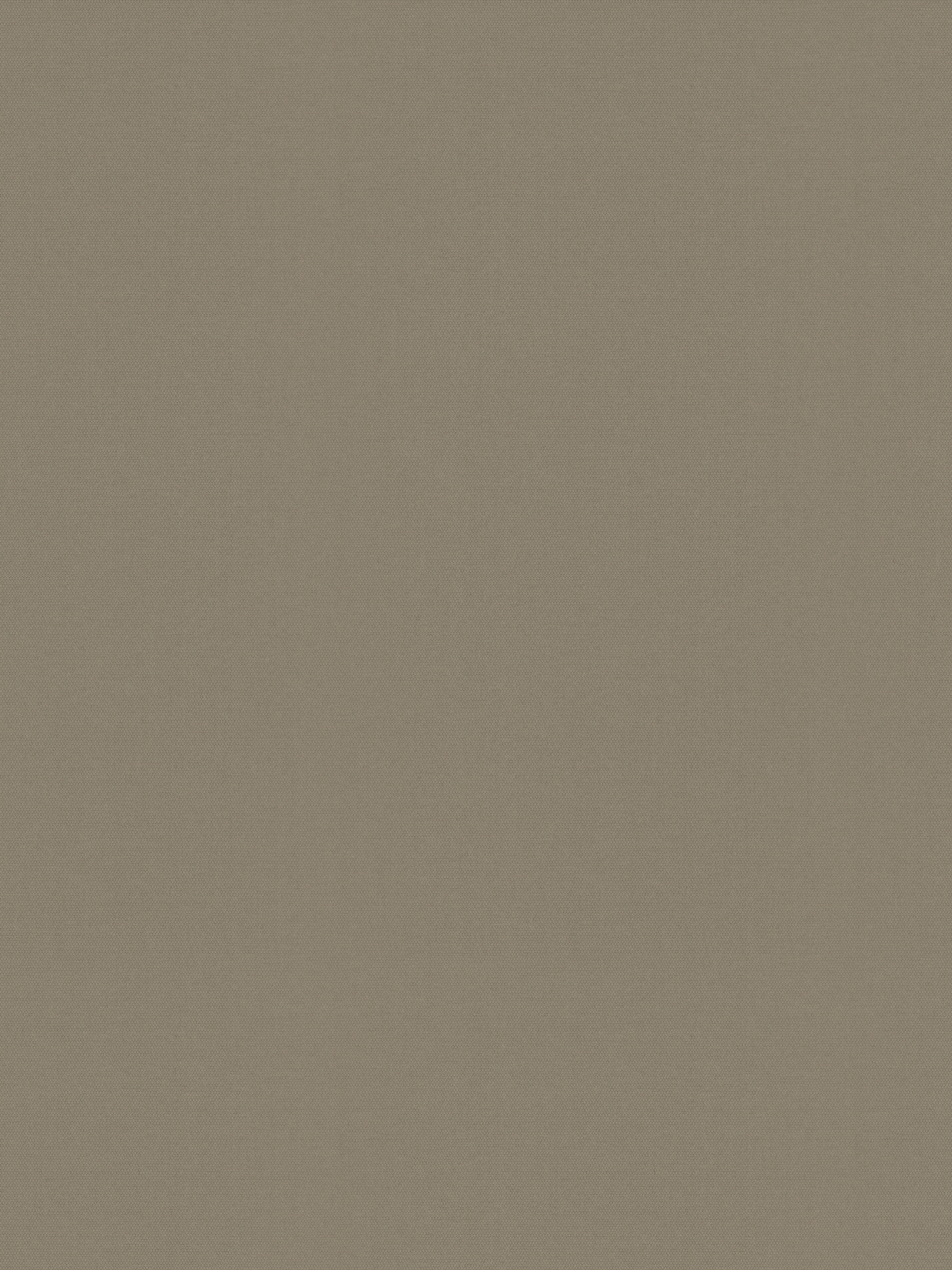 Detailansicht Rollo Springfield 26321