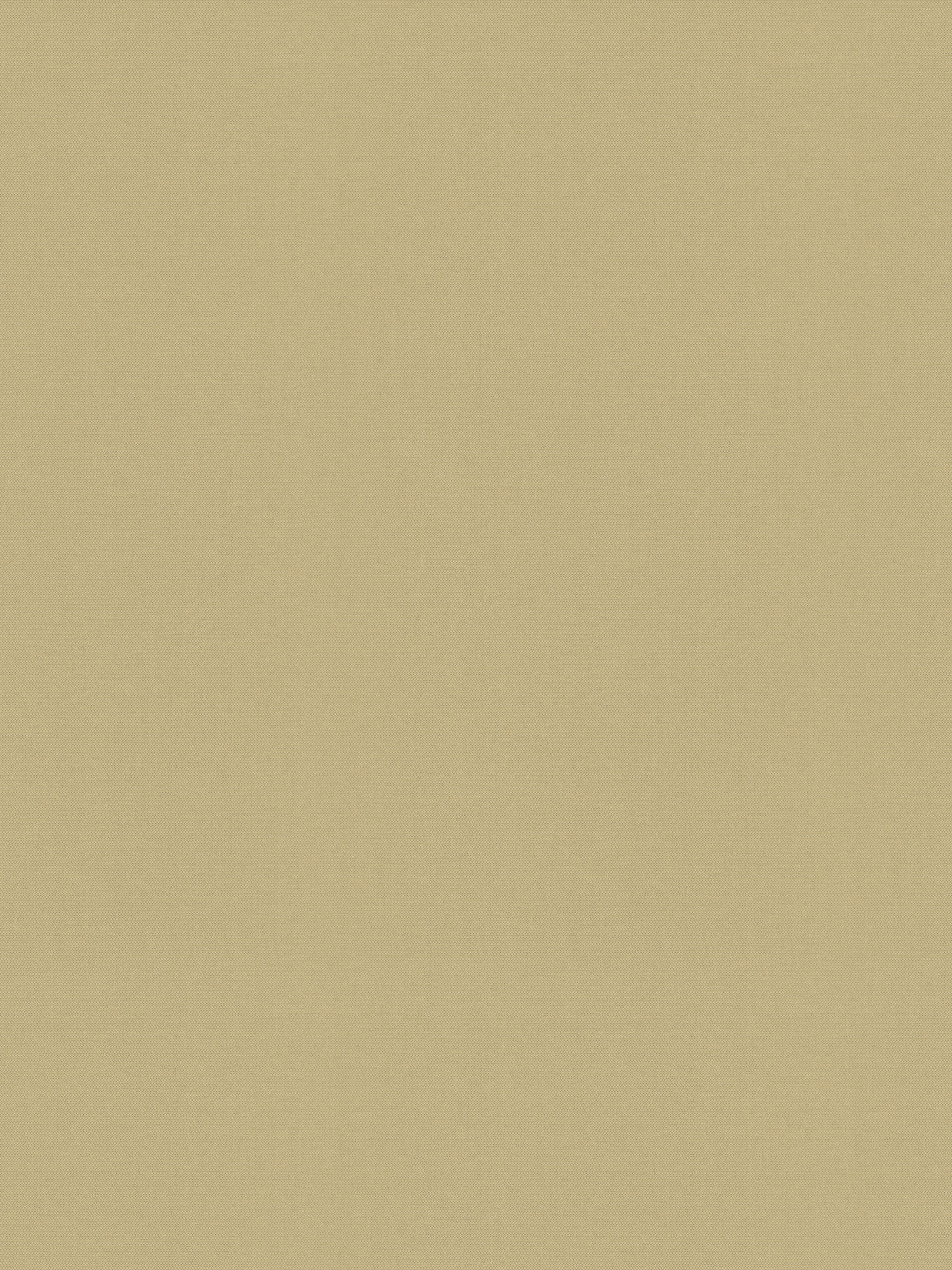 Detailansicht Rollo Springfield 26331