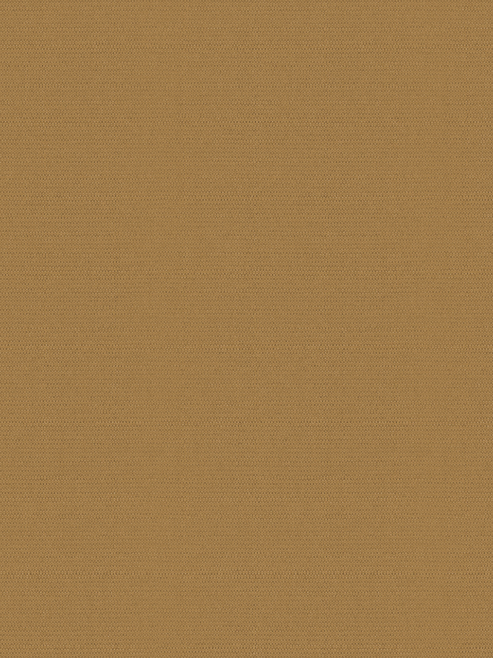 Detailansicht Rollo Springfield 26341