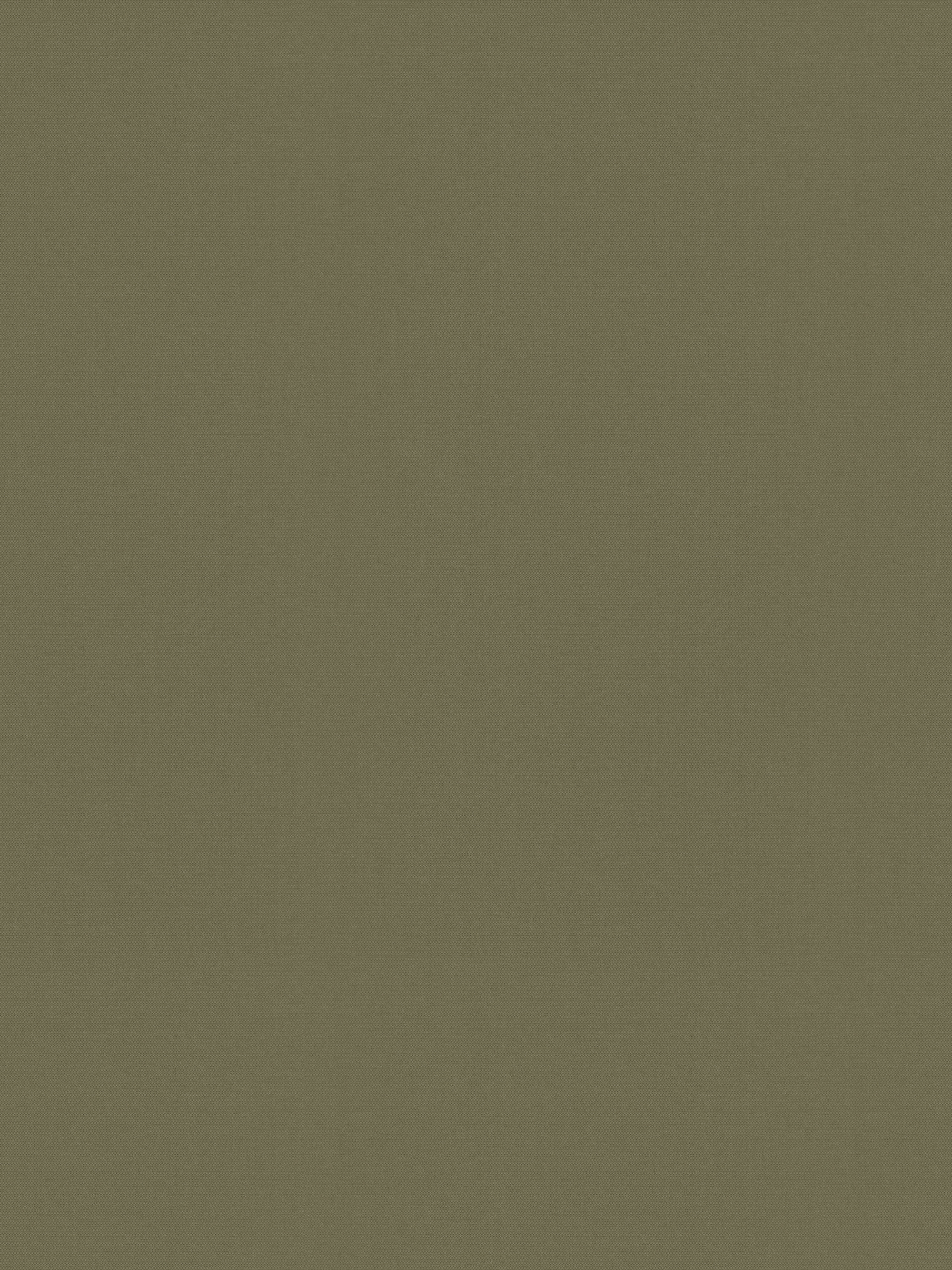 Detailansicht Rollo Springfield 26351
