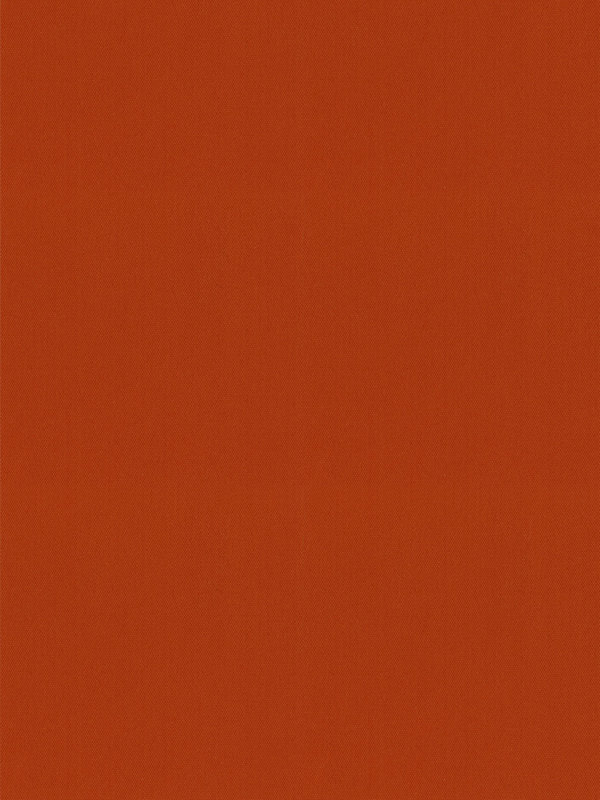 Detailansicht Rollo Springfield 26261