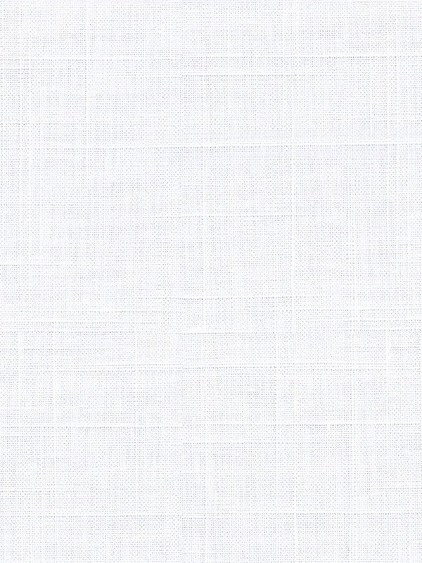 Detailansicht Rollo Phoenix 21011