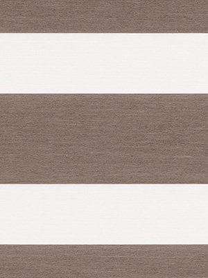 Preview Xinca 6501 3