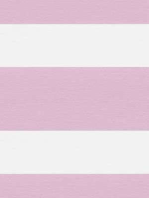 Preview Xinca 6504 3