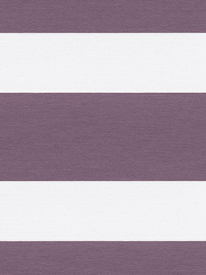 Xinca 6505 Detailansicht