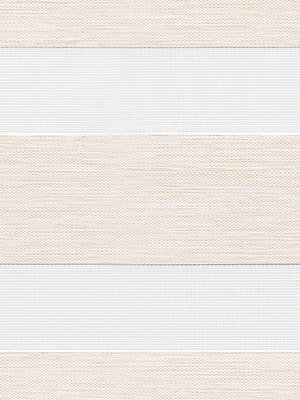 Preview Chorti 6518 2