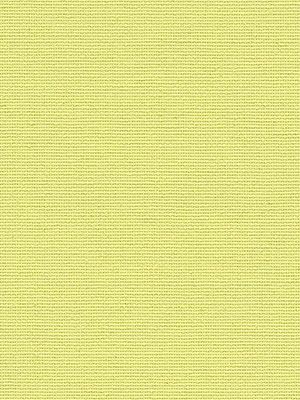 Alcudia 7716 Detailansicht