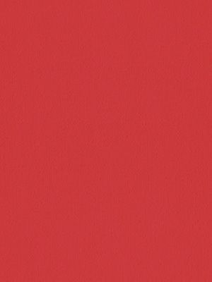 Oviedo 7006 Detailansicht