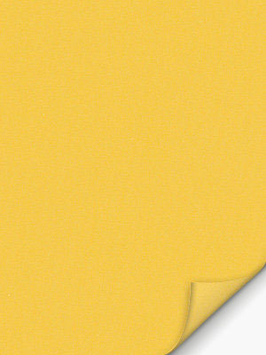 Conesa 4215 Detailansicht