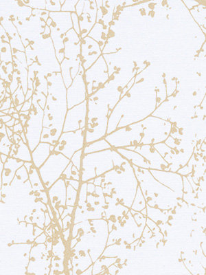 Morella 6217 Detailansicht