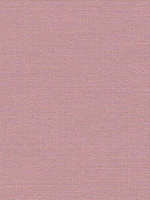 Leysin 20114 Detailansicht