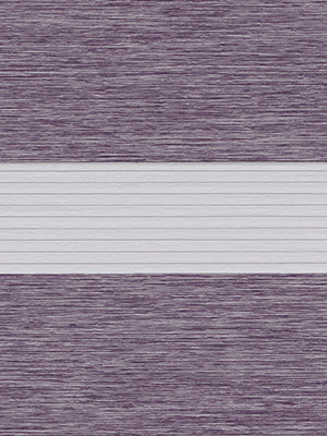 Sonsonate 6581 Detailansicht