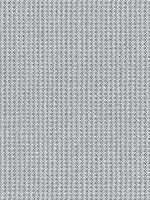 Tenerife 5336 Detailansicht