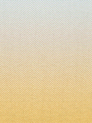 Jinotega 6409 Detailansicht