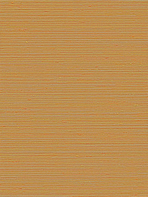 Rollo Mateos 76013 Detailansicht