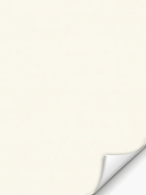 Rollo Springfield VD 27291w Detailansicht