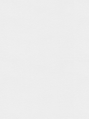 Atlanta VD 78021 Detailansicht