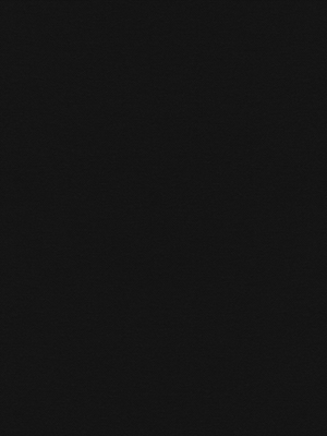 Atlanta VD 78101 Detailansicht